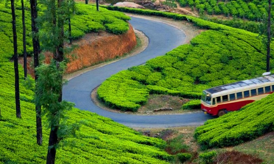 4N/5D Standard Kerala Package
